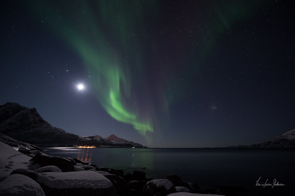 Green aurora sweeping above a snowy horizon